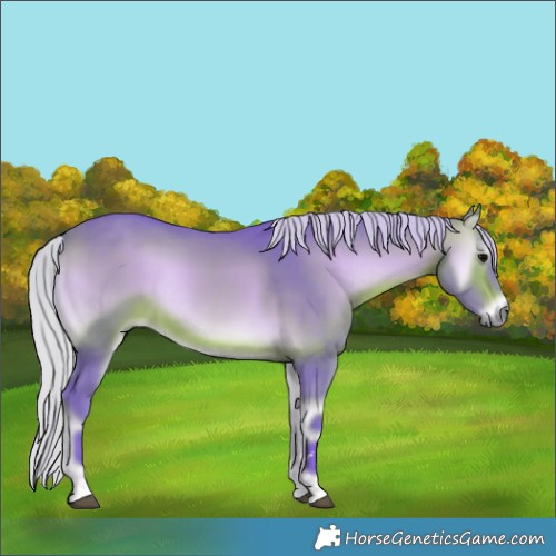 Horse Color:Watercolor Silver Brown Onyx Rabicano