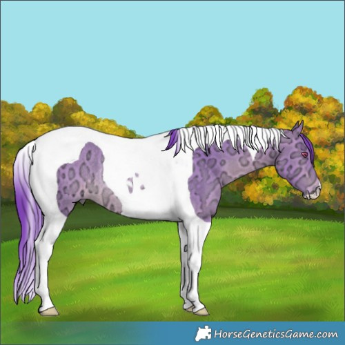 Horse Color:Watercolor Bay Chinchilla Ice Tobiano Rabicano 