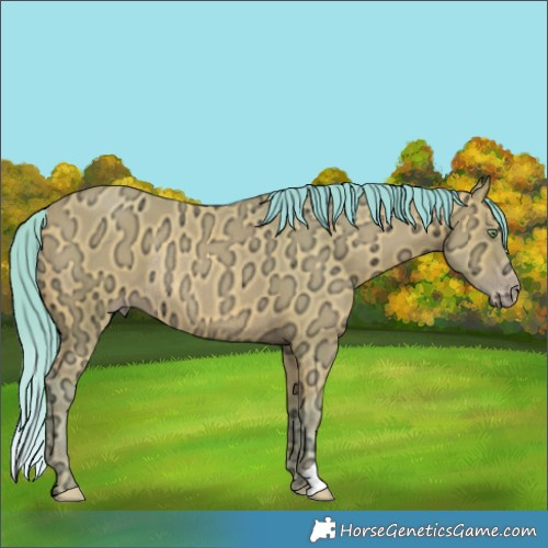 Horse Color:Watercolor Amber Champagne Ice Rabicano