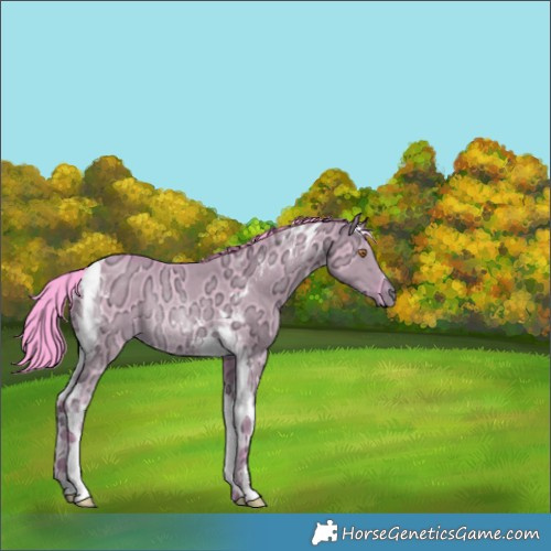 Horse Color:Watercolor Smoky Grullo Chinchilla Ice Tobiano Rabicano 