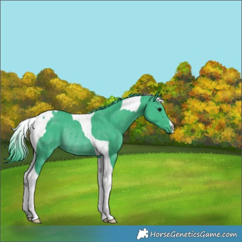 Horse Color:Watercolor Smoky Black Tobiano Rabicano 