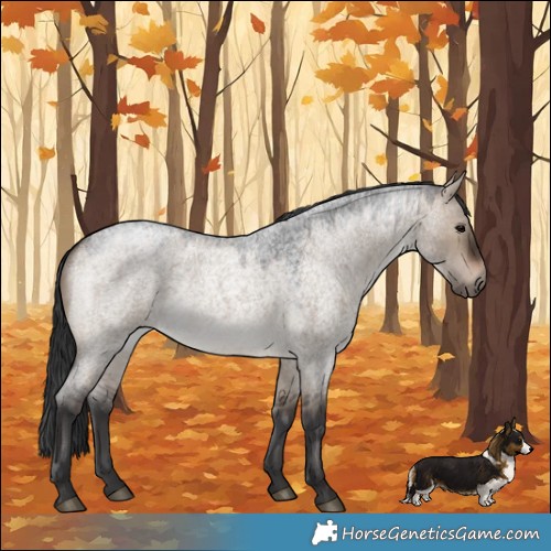 Horse Color:Brown Roan Dun Rabicano 