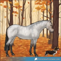 Horse Color:Brown Roan Dun Rabicano 