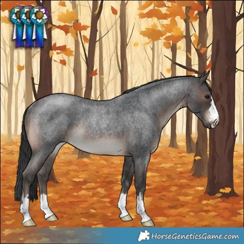 Horse Color:Brown Roan Rabicano 