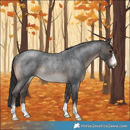 Horse Color:Brown Roan Rabicano 