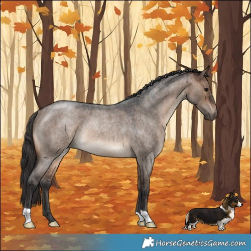 Horse Color:Brown Roan Dun Rabicano 