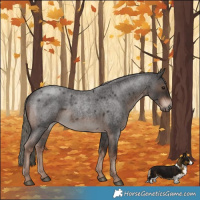 Horse Color:Liver Red Roan Mushroom Rabicano