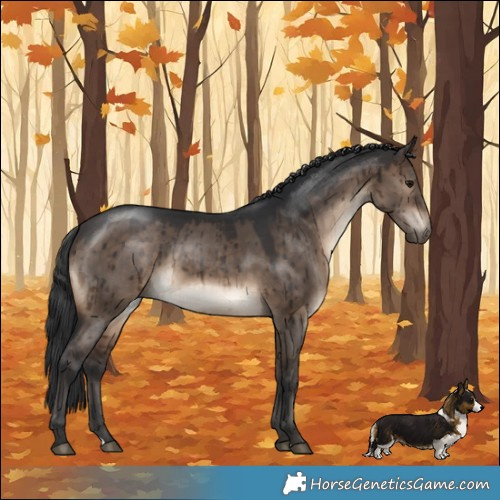 Horse Color:Brown Dun Brindle 