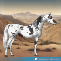 Horse Color:Brown Harlequin Merle Tobiano 