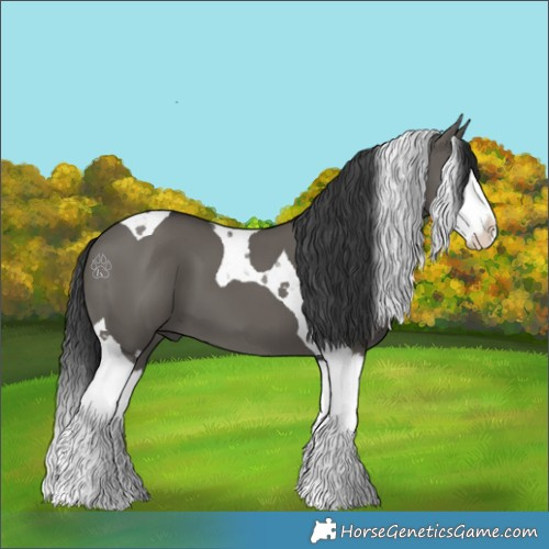 Horse Color:Grullo Splash Tobiano 