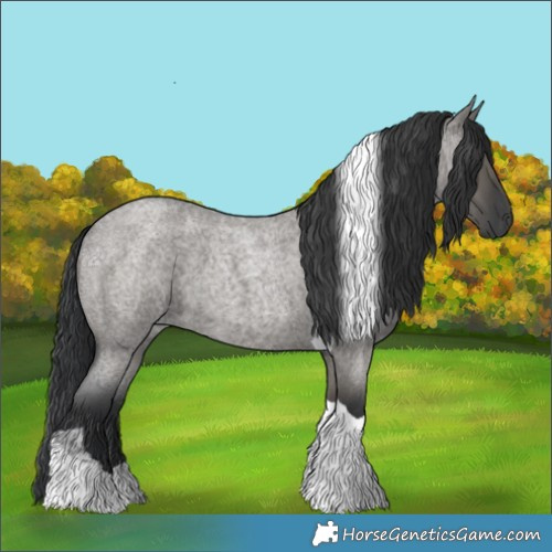 Horse Color:Grullo Roan Tobiano
