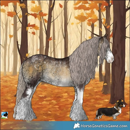 Horse Color:Chocolate Silver Buckskin Ice Onyx Sabino Rabicano