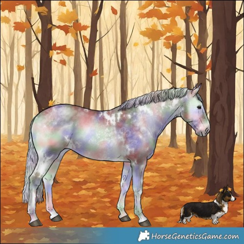 Horse Color:Nacre White Spotted Chocolate Silver Blue Onyx Chinchilla 