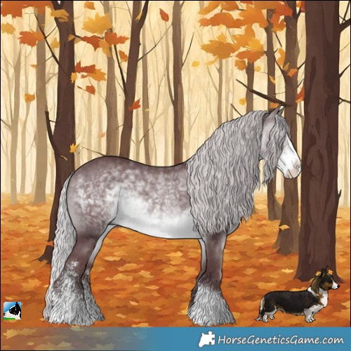 Horse Color:Chocolate Silver Brown Chinchilla Sabino Rabicano 