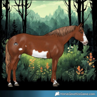 Horse Color:Chestnut Frame 