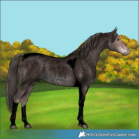 Horse Color:Void Platinum Liver Red Roan Tobiano Rabicano 