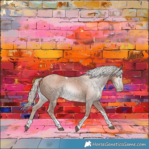 Horse Color:Gray Silver Black Pearl Tobiano