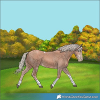 Horse Color:Gray Silver Black Pearl Tobiano 