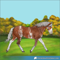 Horse Color:White Spotted Silver Bay Splash 