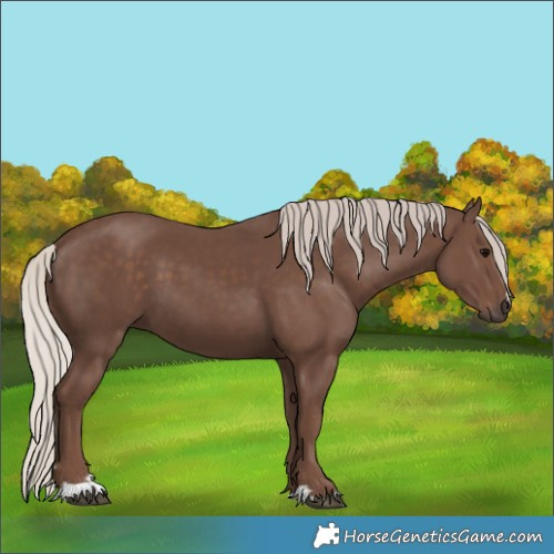 Horse Color:Silver Black