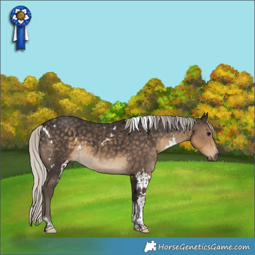 Horse Color:White Spotted Silver Smoky Black Tobiano 