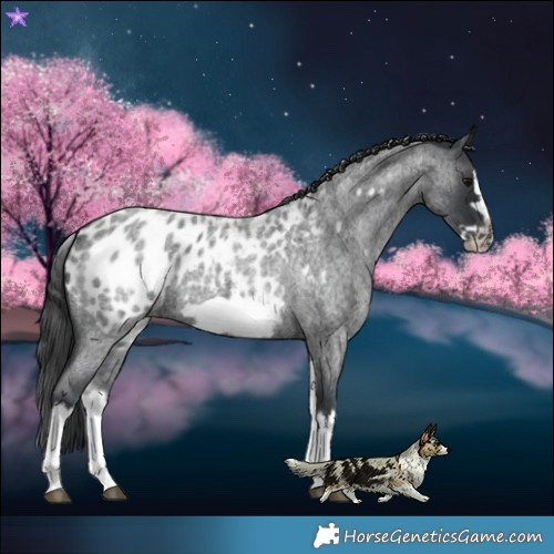 Horse Color:White Spotted Blue Roan Splash Frame Blanket 