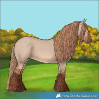 Horse Color:Red Dun 