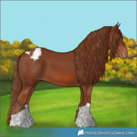 Horse Color:Chestnut Varnish