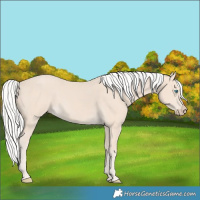 Horse Color:Silver Smoky Creme 