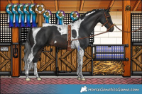 Horse Color:Brown Tobiano