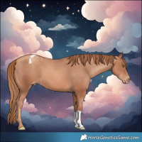 Horse Color:Gold Champagne Varnish 