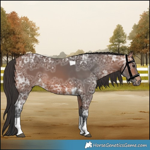 Horse Color:Bay Ice Tobiano