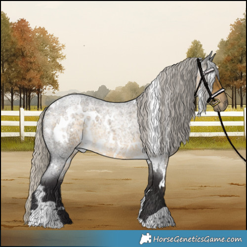 Horse Color:White Spotted Silver Buckskin Roan 