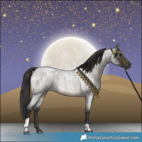 Horse Color:Buckskin Roan Tobiano 