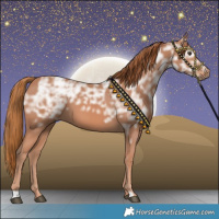 Horse Color:Chestnut Ice 