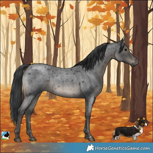 Horse Color:Blue Roan Mushroom Rabicano