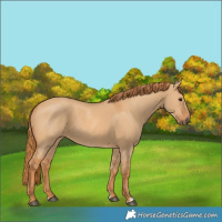 Horse Color:Red Dun 