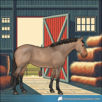 Horse Color:Bay Dun