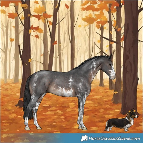Horse Color:Brown Sabino