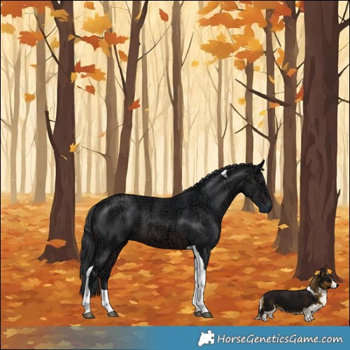 Horse Color:Brown Ice Tobiano