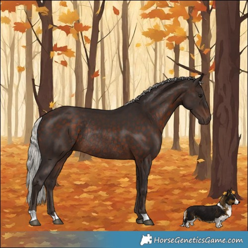 Horse Color:Silver Brown Rabicano 