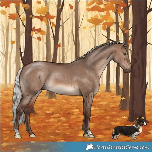 Horse Color:Silver Brown Dun Mushroom 