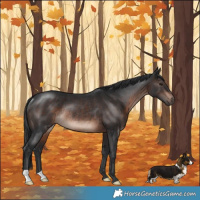Horse Color:Brown Mushroom Rabicano