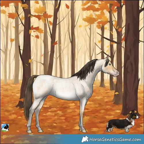 Horse Color:Sable Cream Champagne Roan 