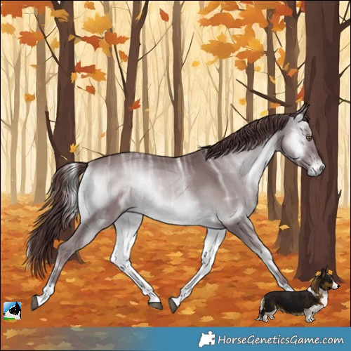 Horse Color:Chocolate Brown Chinchilla Ice Onyx