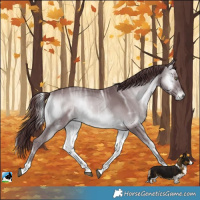 Horse Color:Chocolate Brown Chinchilla Ice Onyx