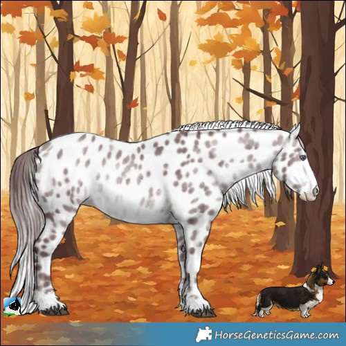 Horse Color:Chocolate Brown Chinchilla Ice Sabino Leopard 
