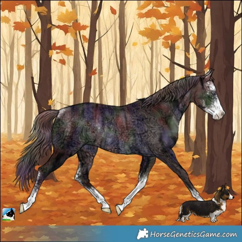 Horse Color:Nacre Chocolate Brown Chinchilla Ice Sabino Rabicano