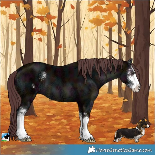 Horse Color:Midnight Chocolate Black Chinchilla Ice Sabino 