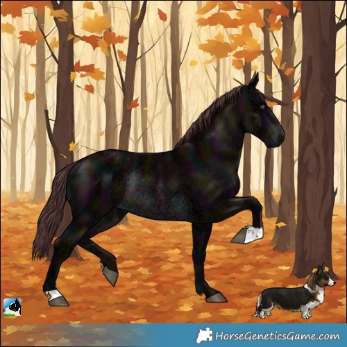 Horse Color:Midnight Chocolate Brown Chinchilla Ice Rabicano 